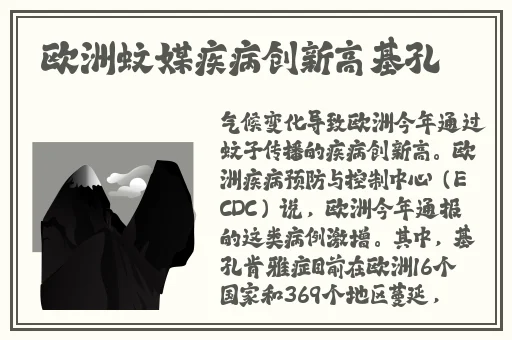 两个人日本的完整视频免费观看